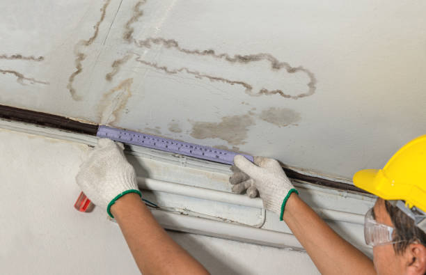 Reliable Water Damage contractor in Grapeview, WA by Water Damage Irwin